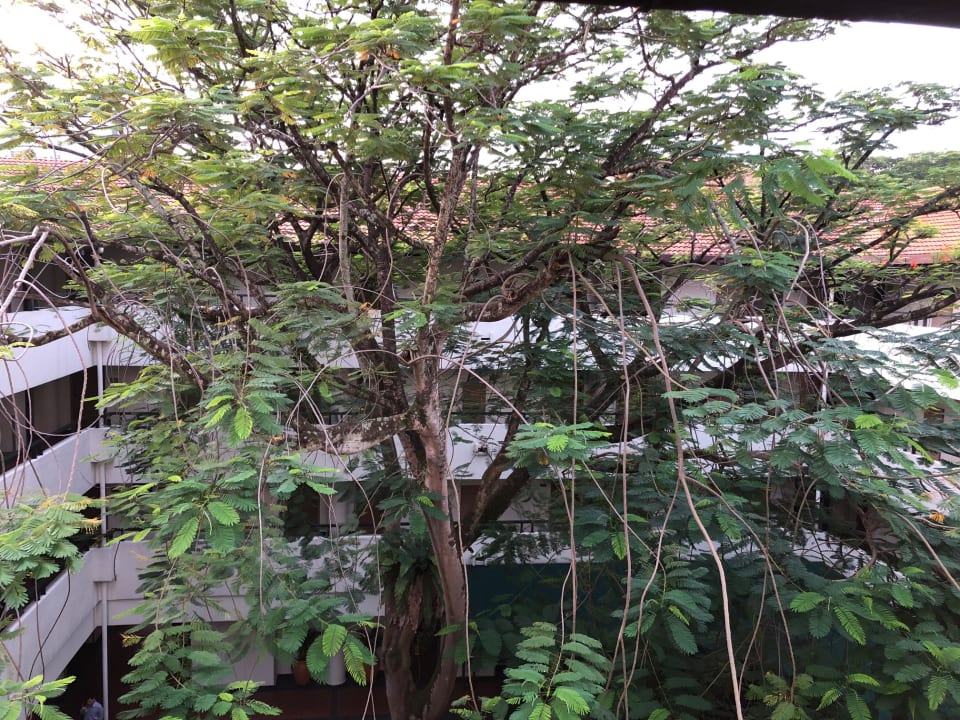 Sonstiges The Saujana Hotel Kuala Lumpur