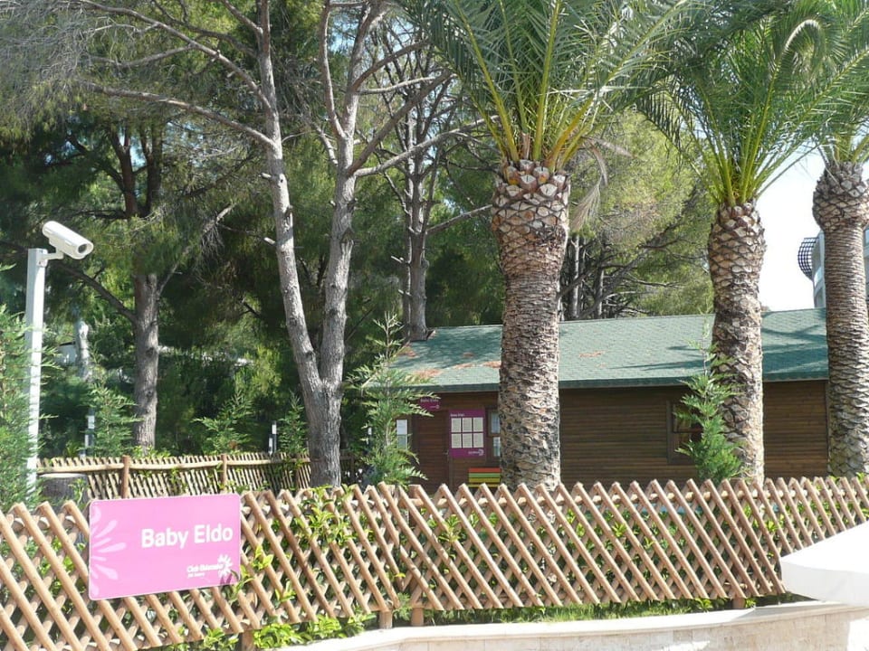 Babybetreuung Paloma Pasha