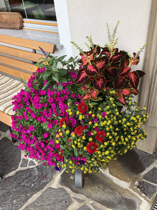 Außenansicht Gasthof Almhof