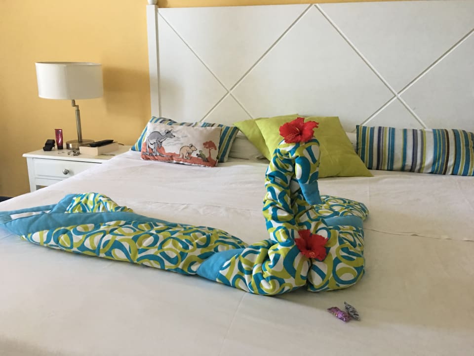 Zimmer Iberostar Origin Taínos