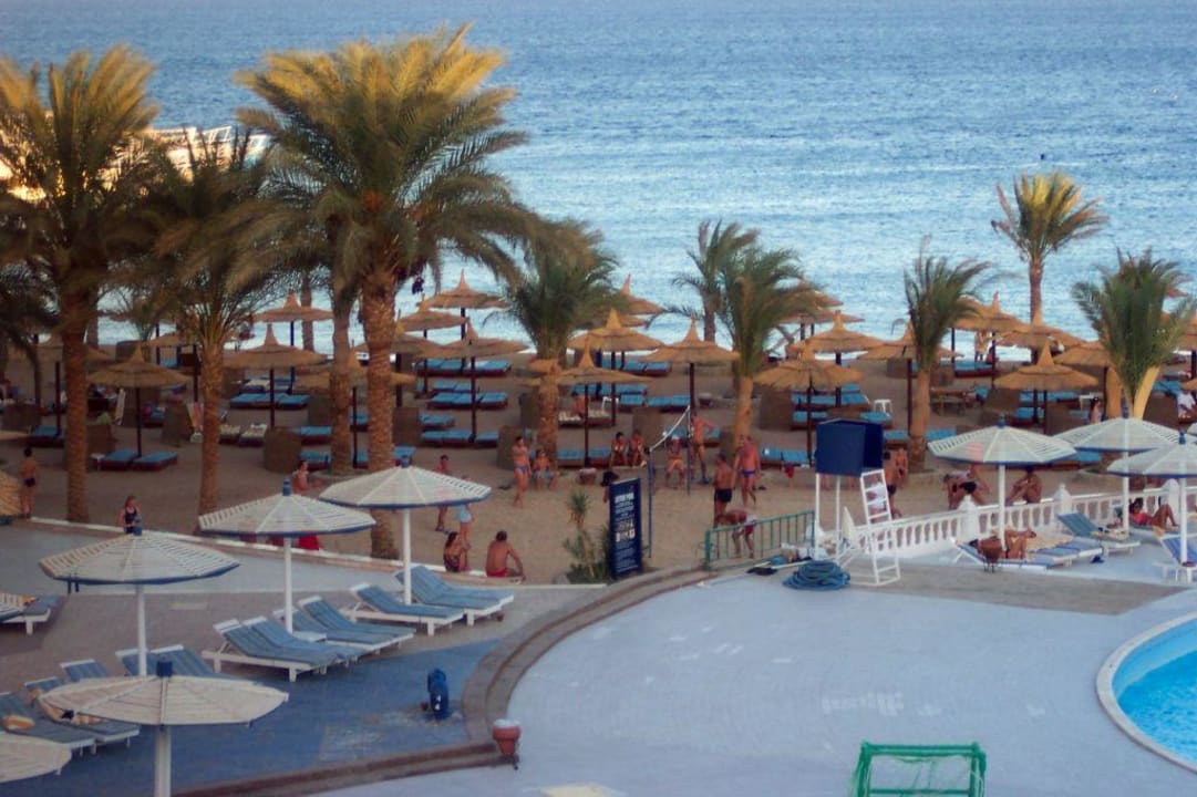 Volleyball Beach Albatros Resort