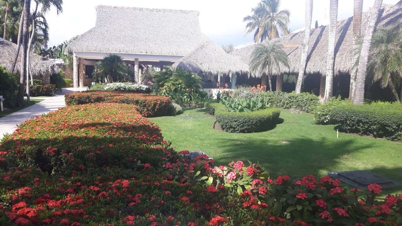 Gartenanlage Hotel Viva Dominicus Beach by Wyndham - All Inclusive Resort