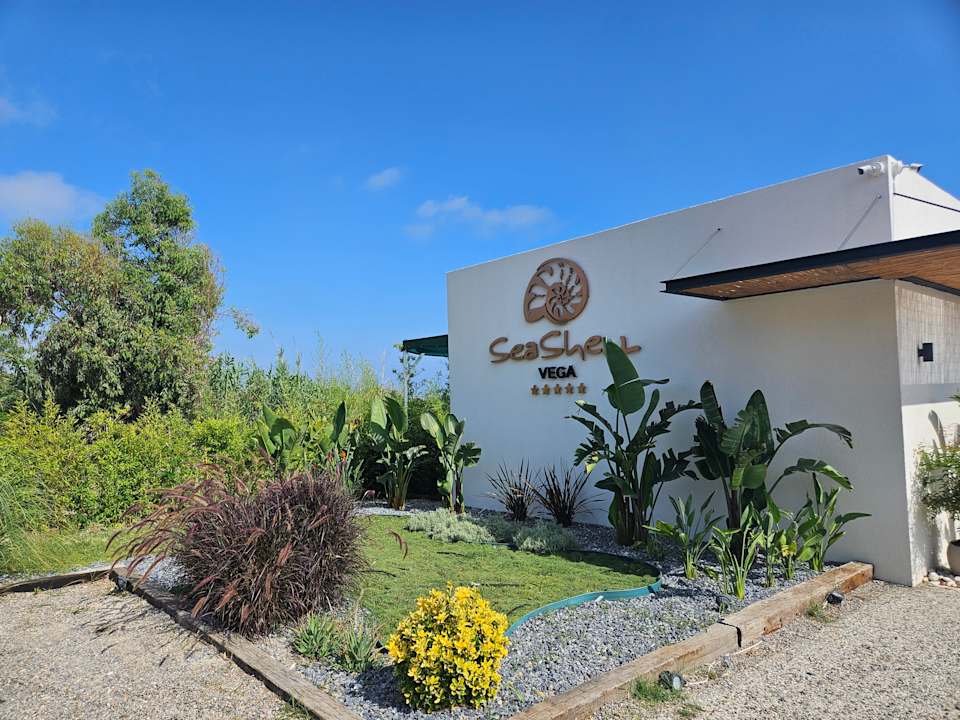 Strand Seashell Vega