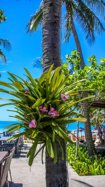 Fair House Beach Ressort The Fair House Beach Resort