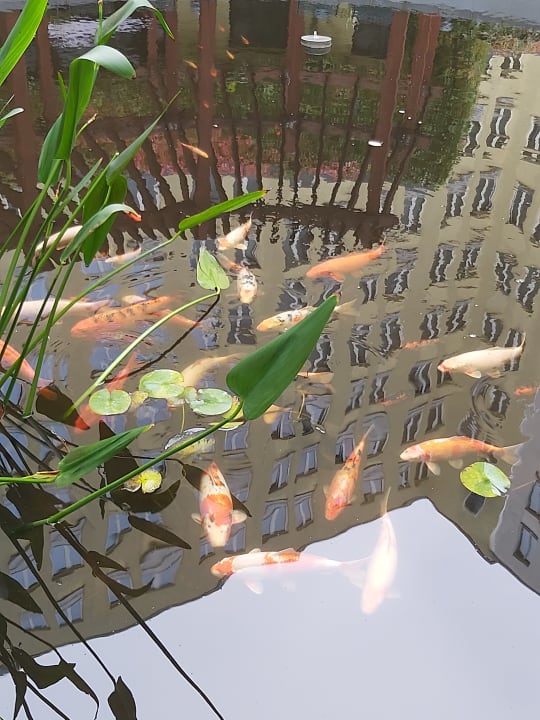 Sonstiges Vienna House Easy by Wyndham Leipzig