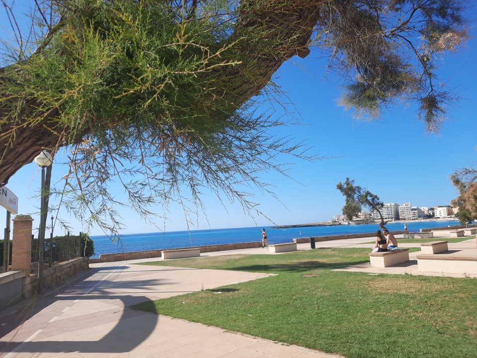 Sonstiges Aparthotel Playa Dorada