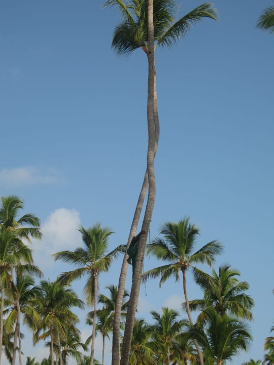 Strand Villas Bavaro Resort & Spa