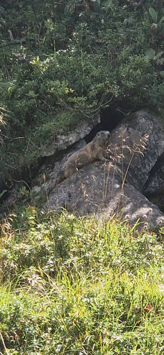 Sonstiges Explorer Hotel Berchtesgaden