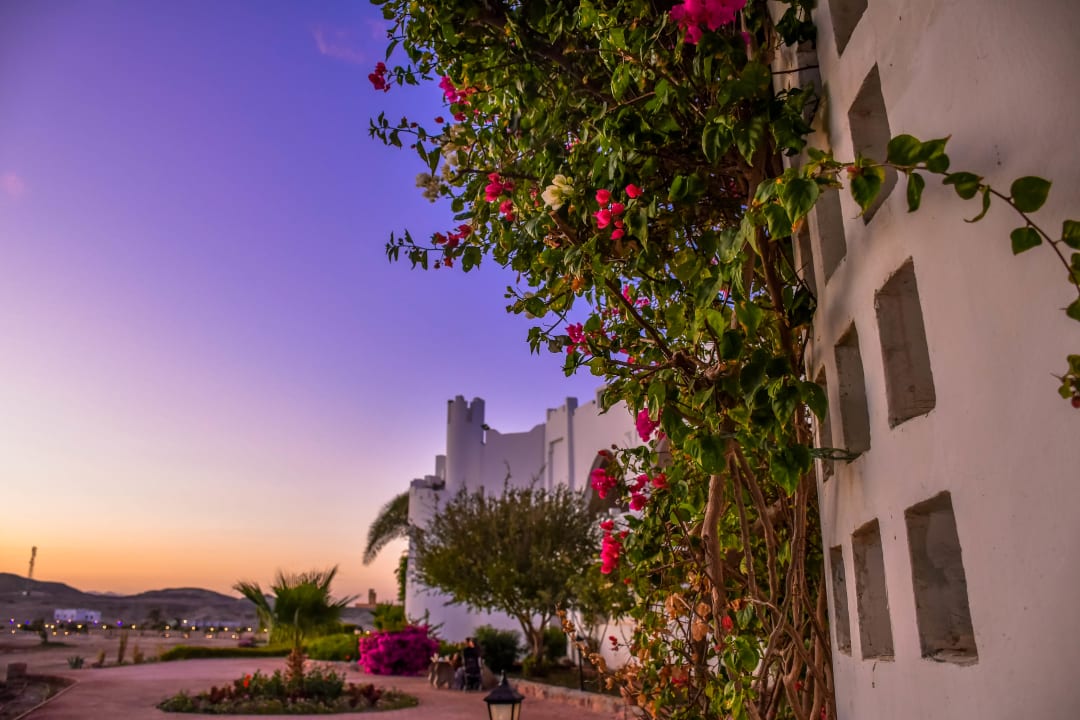 Garten Three Corners Equinox Beach Resort