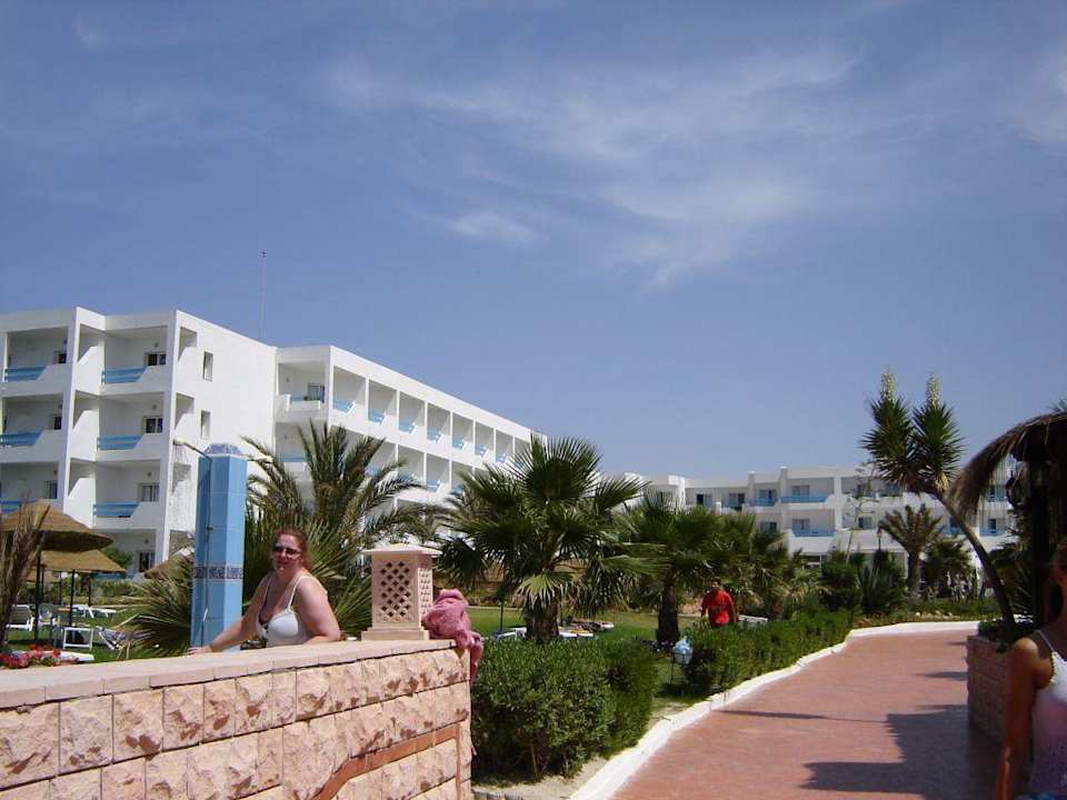 view from the beach Hotel Rosa Beach