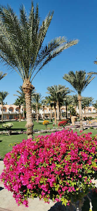 Gartenanlage Three Corners Sea Beach Resort