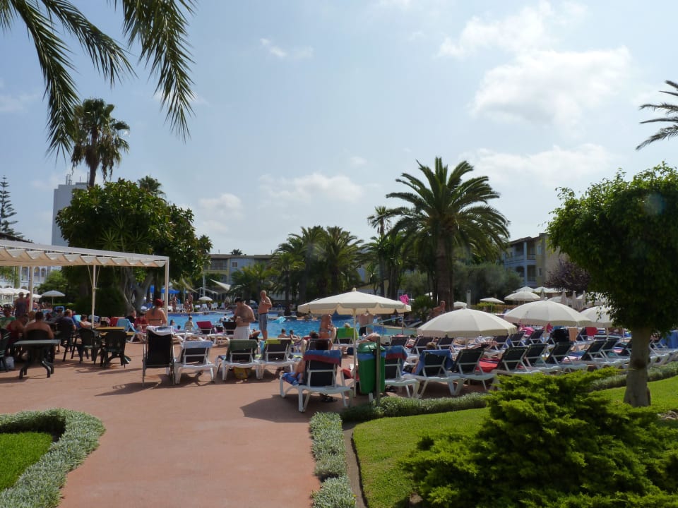Poolbar Alcudia Garden Aparthotel
