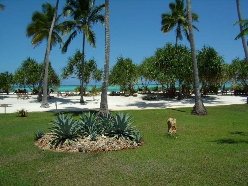 Zimmeraussicht (Kategorie: Meerblick/Strandnähe) Neptune Pwani Beach Resort & Spa