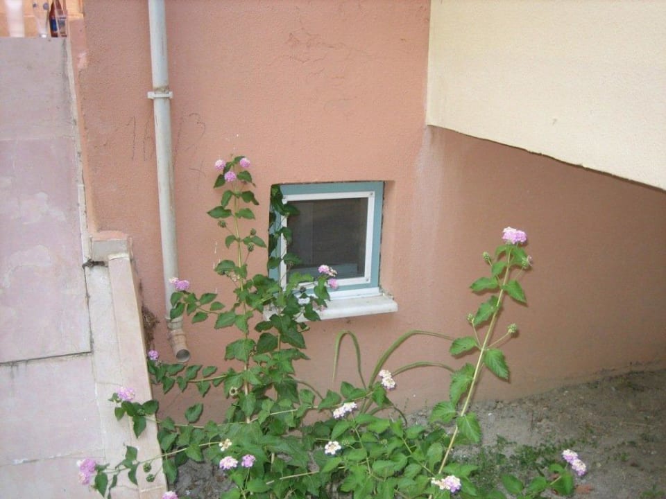 Kellerfenster, angeblich das Bad Dream Family Club