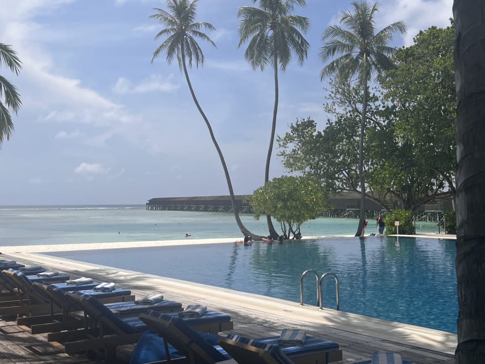 Pool Meeru Maldives Resort Island