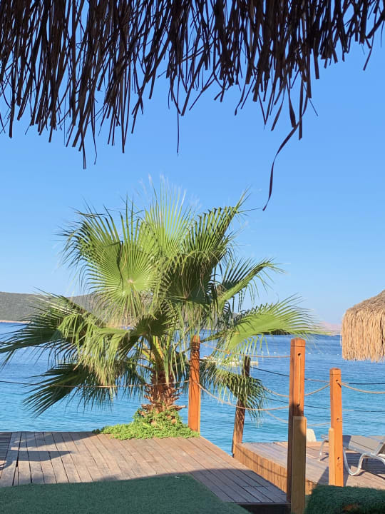 Ausblick TUI MAGIC LIFE Bodrum - Adult Only (16+)