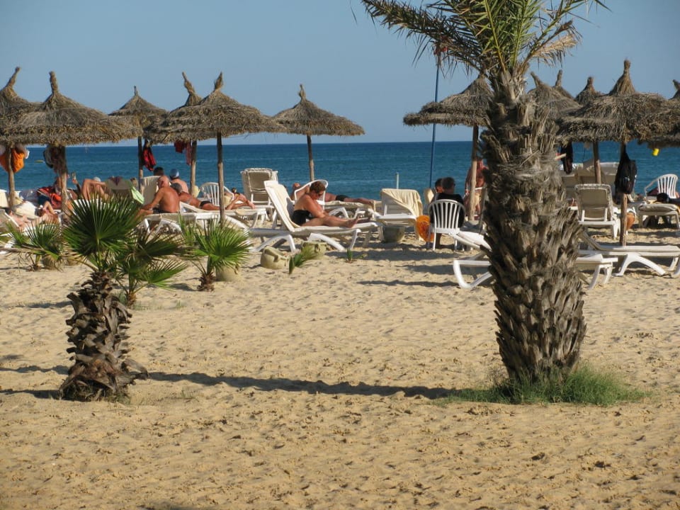 Blick zum Strand Steigenberger Marhaba Thalasso Hammamet