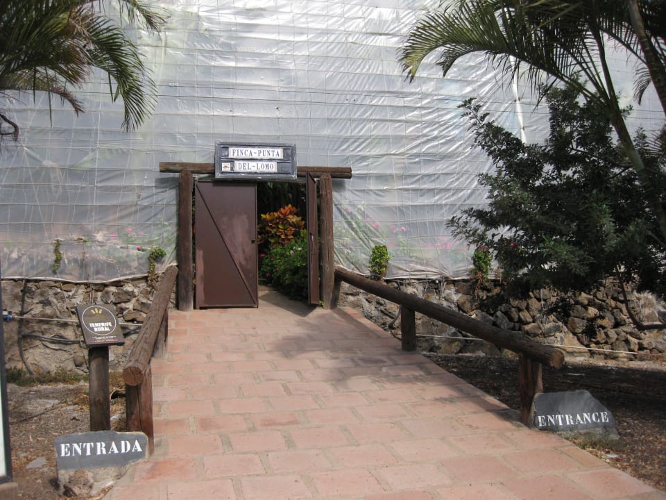 Ein Eingang zur Bananenplantage Hotel Casas de Las Piedras