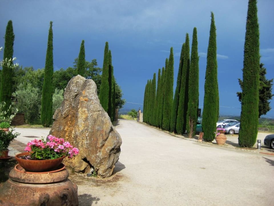 Wunderschöner Zufahrtsweg Hotel Casolare le Terre Rosse