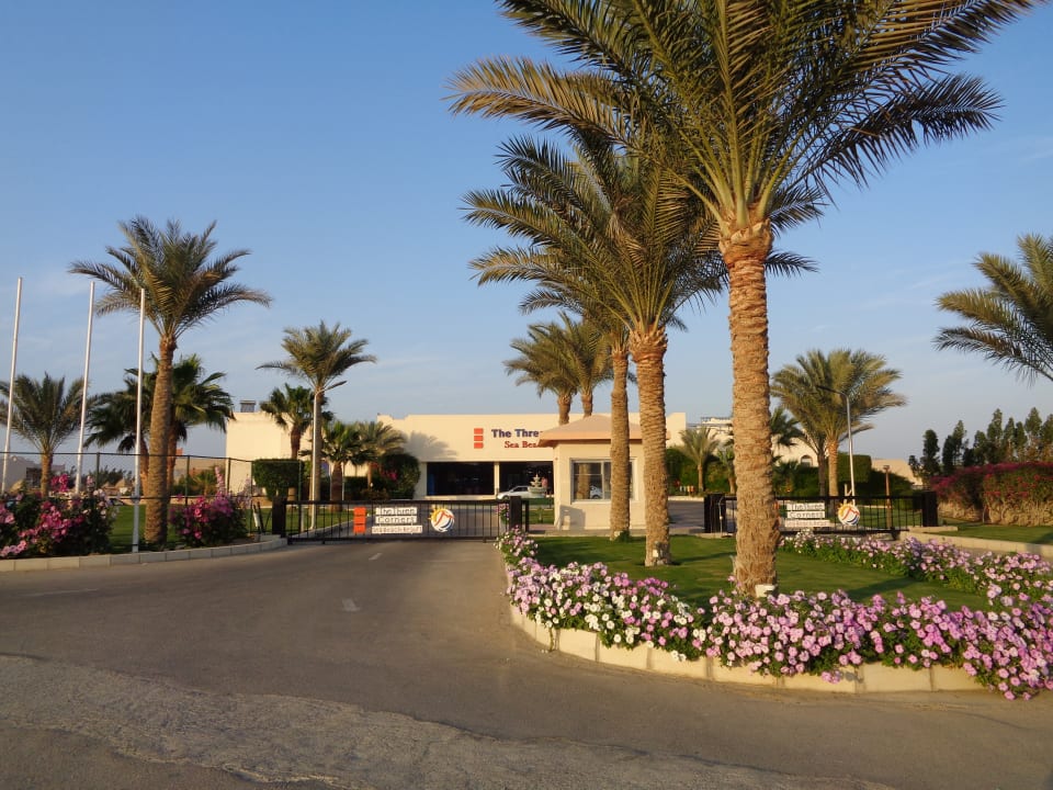 Außenansicht Three Corners Sea Beach Resort