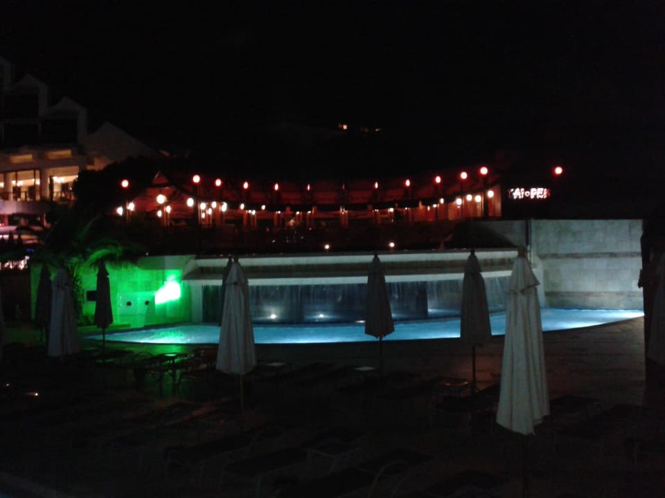 Disco + Restaurant Paloma Sencia