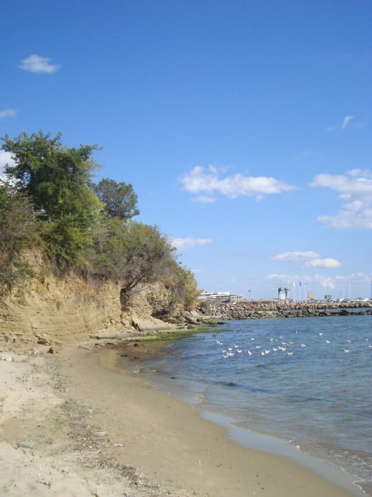 Schwarzes Meer Hotel Sineva Beach