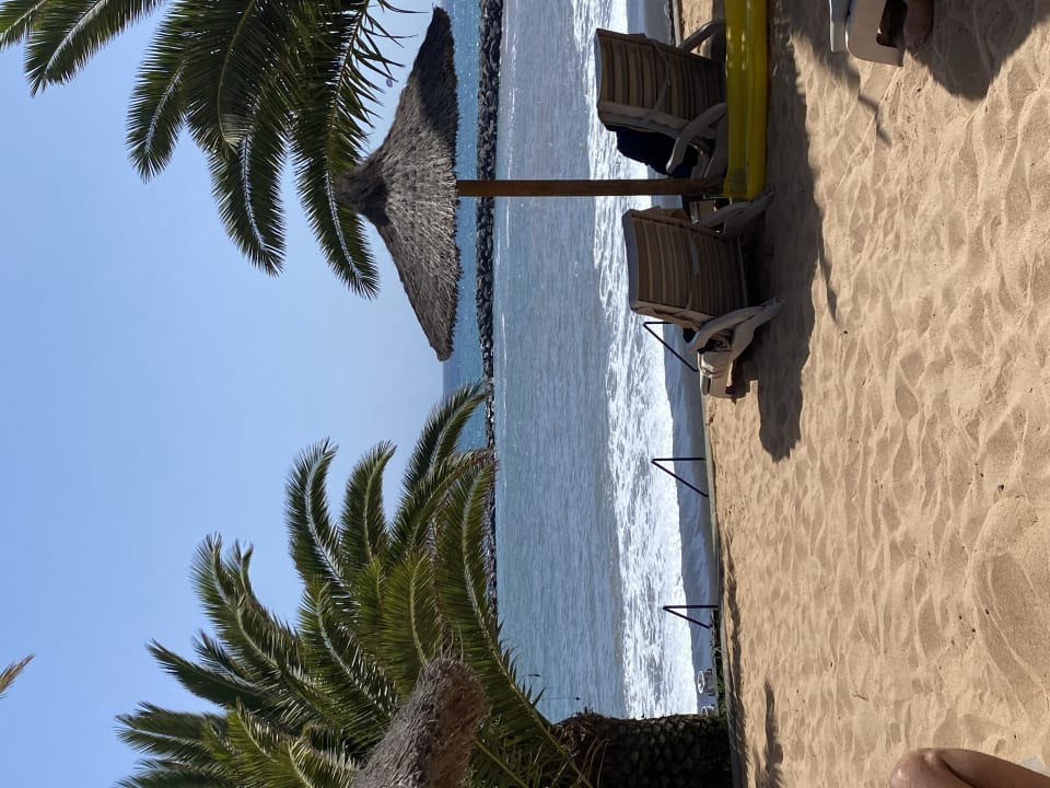 Gartenanlage Hotel Riu Palace Tenerife