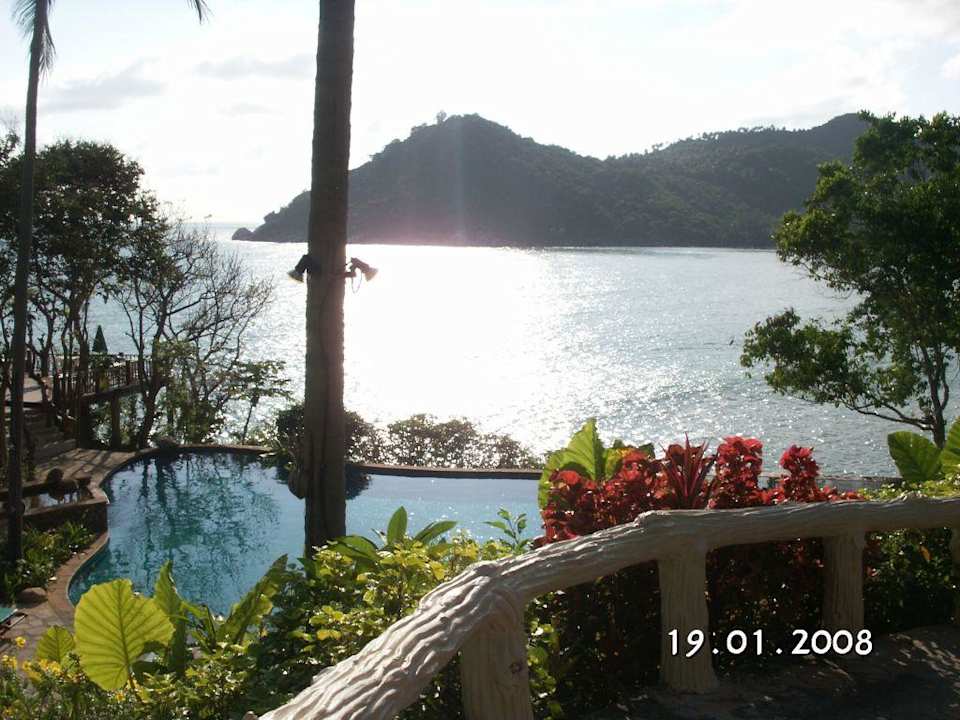 Pool Panviman Resort Koh Phangan