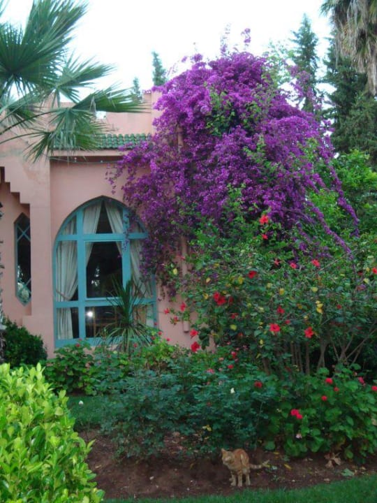 Hotelgarten Hotel Le Tazarkount