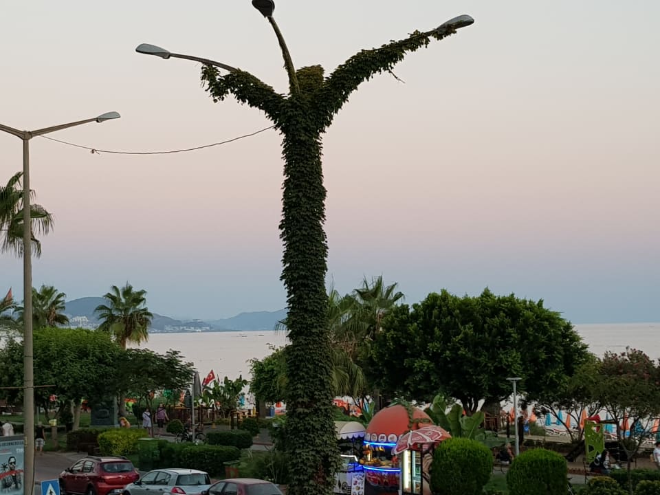 Ausblick Eftalia Downtown Hotel