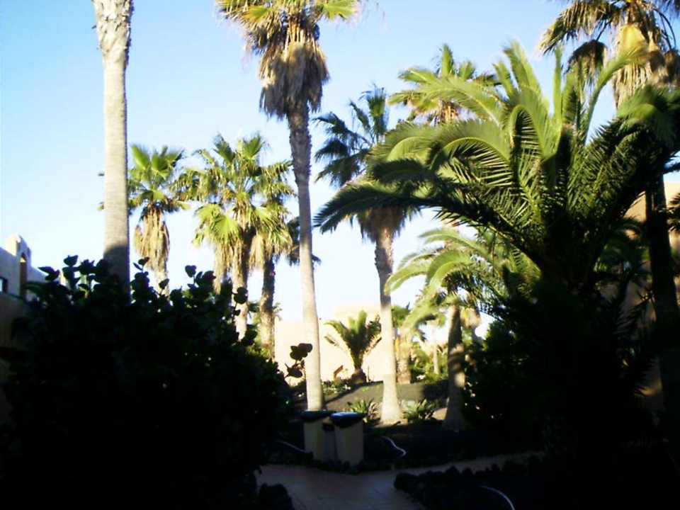 Innenansicht Oasis Dunas Hotel Oasis Dunas