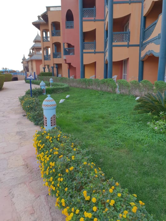 Außenansicht Dreams Beach Resort Marsa Alam