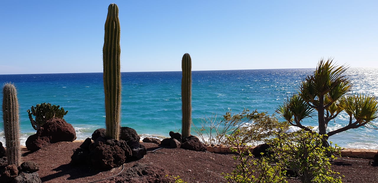 Ausblick R2 Pajara Beach