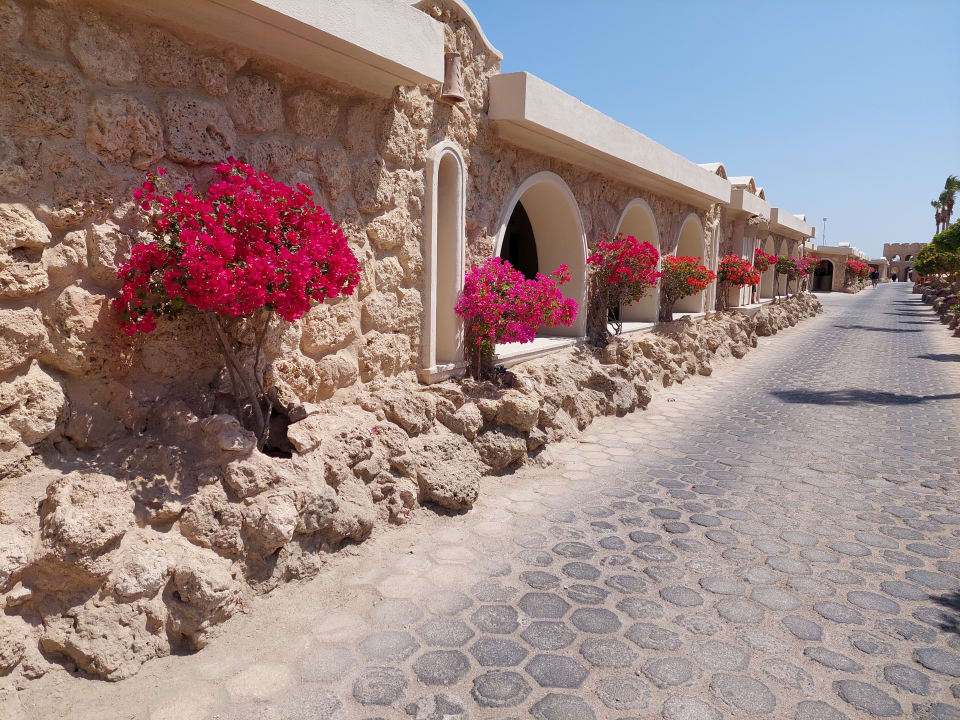 Außenansicht Pickalbatros Citadel Resort