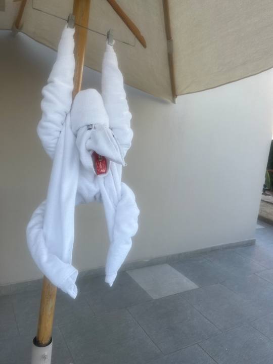 Außenansicht JAZ Elite Casa del Mar Beach