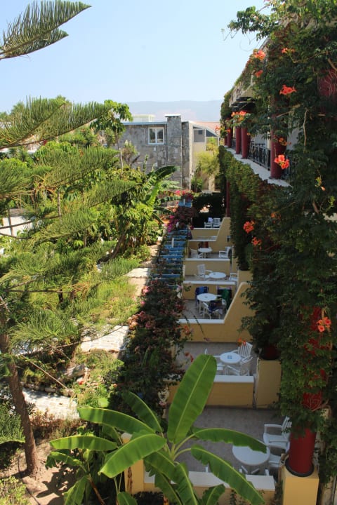 Blick zu den Terassen der anderen Zimmer Apollon Hotel