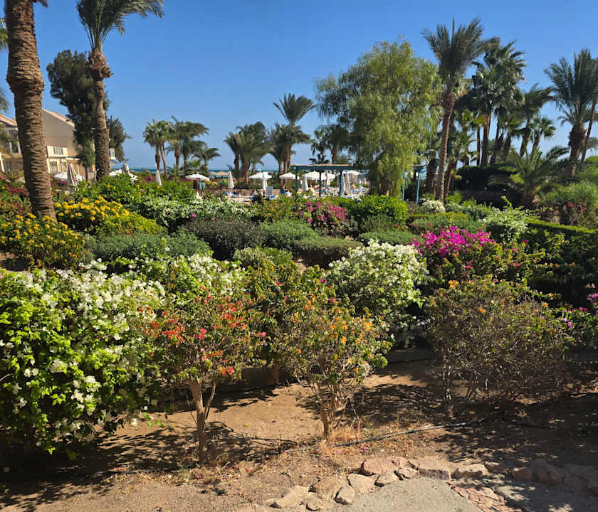 Gartenanlage Mövenpick Resort & Spa El Gouna