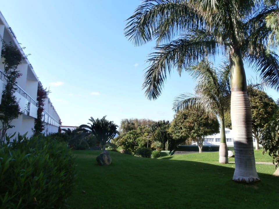 Schöner Garten allsun App.-Hotel Esquinzo Beach