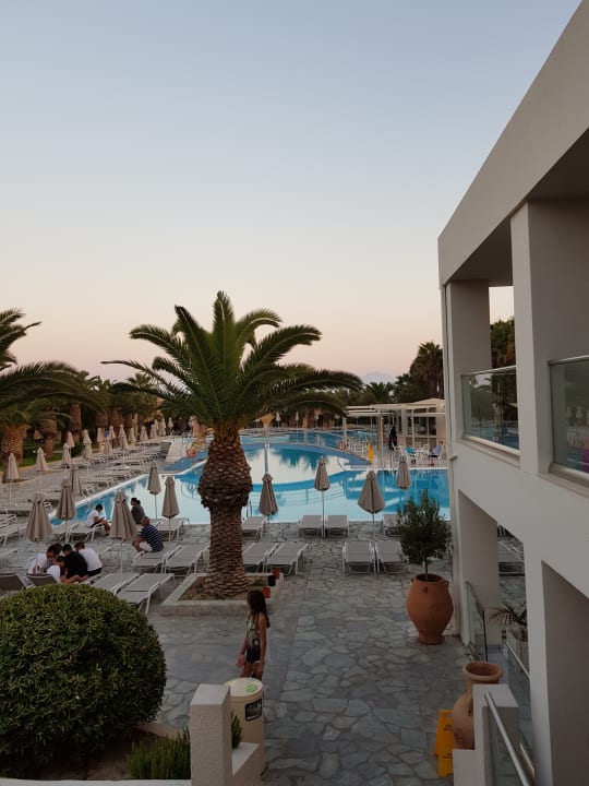 "Pool" Porto Bello Beach (Kardamena) • HolidayCheck (Kos Griechenland)