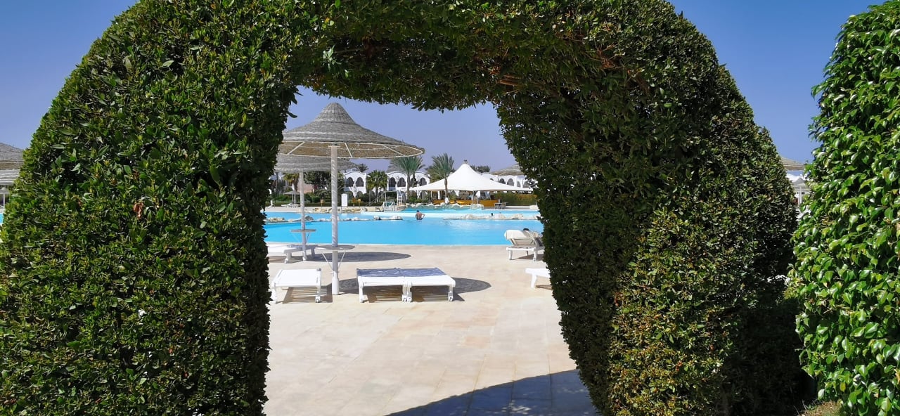 Pool Hotel Gorgonia Beach Resort