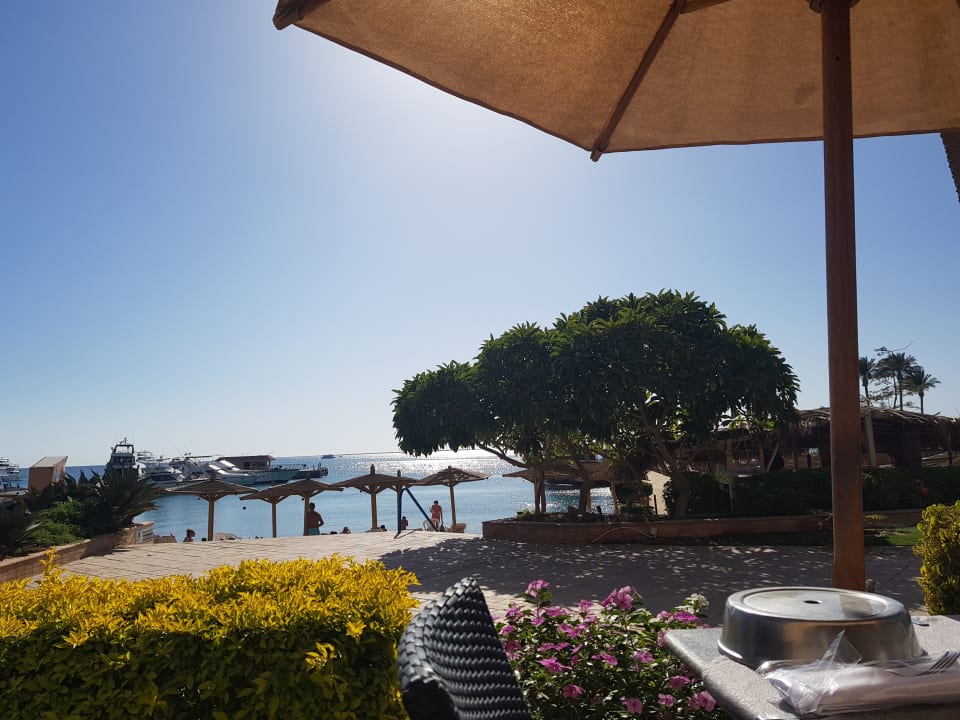 Gastro Marriott Hurghada Beach Resort