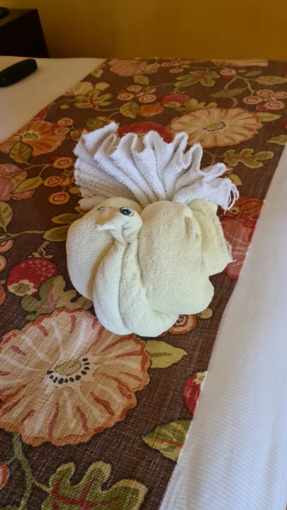 Zimmer Catalonia Riviera Maya & Catalonia Yucatan Beach