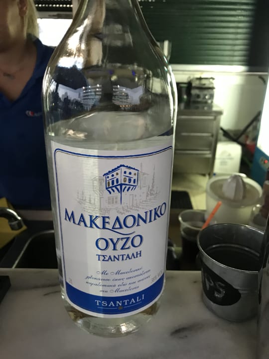 Gartenanlage Airotel Achaia Beach Hotel