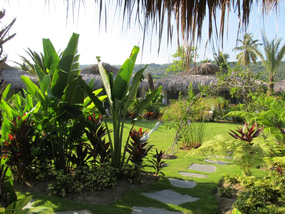 Gartenanlage Viva V Samana by Wyndham – Adults Only