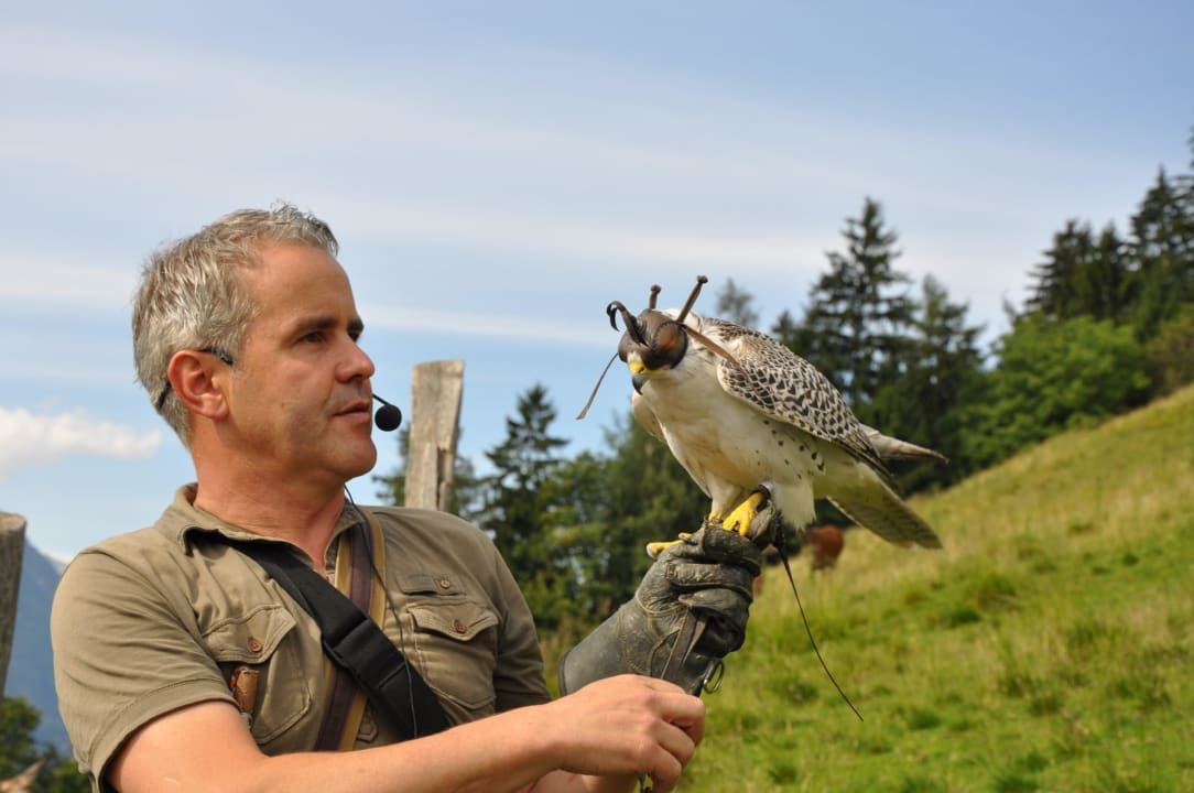 Flugshow Hotel Panorama