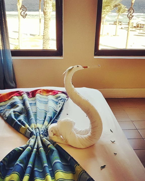 Zimmer Pickalbatros Sands Hotel - Port Ghalib