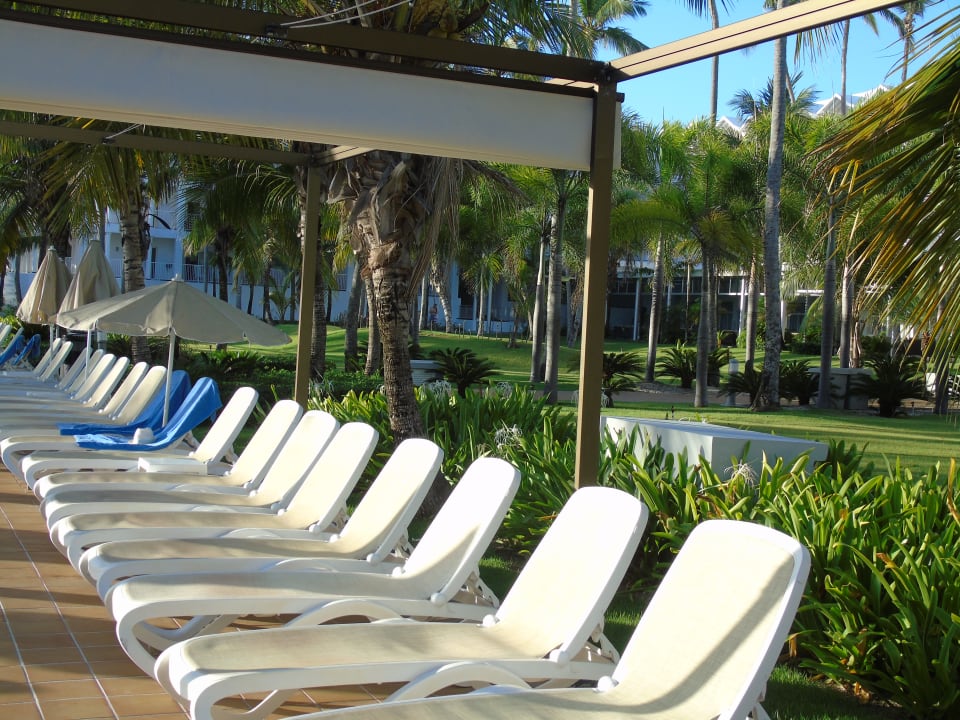 Gartenanlage Hotel Riu Palace Macao - Adults only