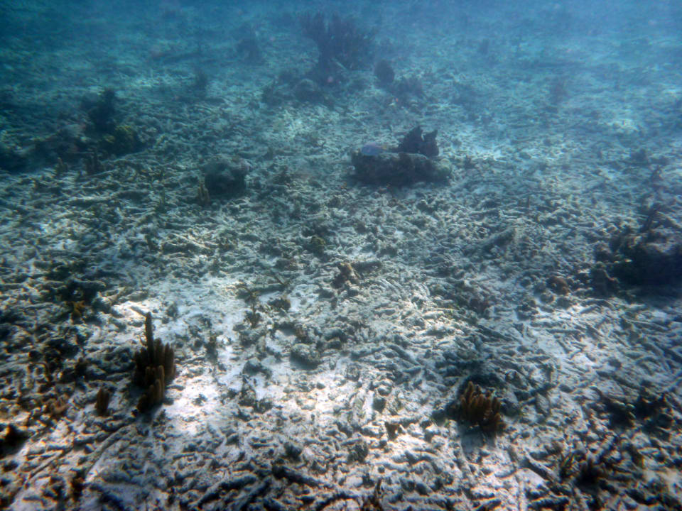 Sport & Freizeit Akumal Bay Beach & Wellness Resort