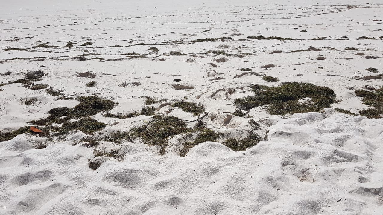 Strand Hotel Southern Palms Beach Resort