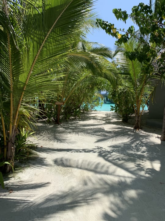 Gartenanlage Kuramathi Maldives